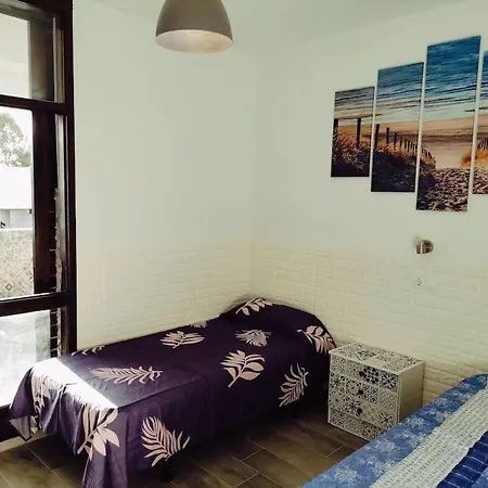 El Drago Costa Del Silencio